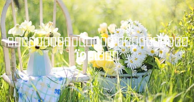 ���ָ��Ϻ�������� ���ָ��ϸ���Ϊ0�ı���